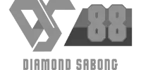 Digital Slot Co. logo